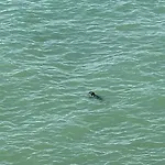 Faehrblick - Direkt Am Wasser Отель