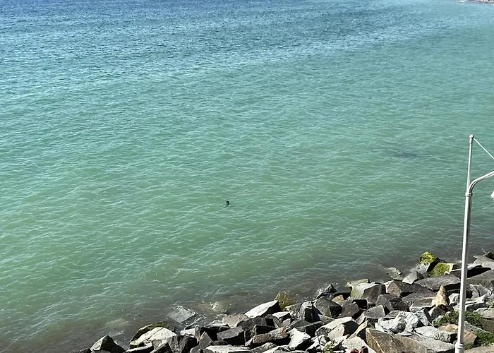 Hotel Faehrblick - Direkt Am Wasser Sassnitz