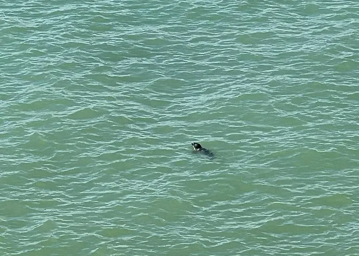 Faehrblick - Direkt Am Wasser Hotel